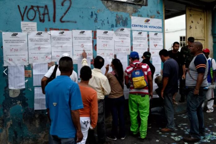 expertos electorales