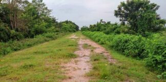 Dique de contención en Tucupita, Delta Amacuro