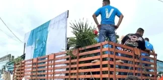 camiones con sonido