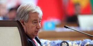 Expertos de la ONU