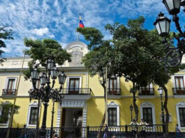 Expertos electorales
