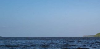 Río Orinoco en el Delta Medio