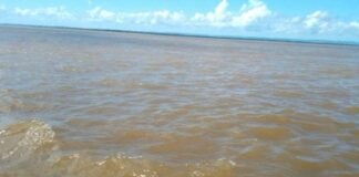 Nivel río Orinoco