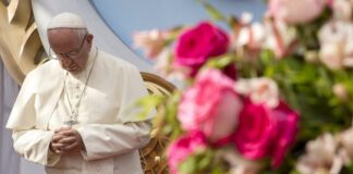 Papa Francisco altoal fuego en Gaza