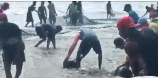 Pescadores de Boca de Aroa