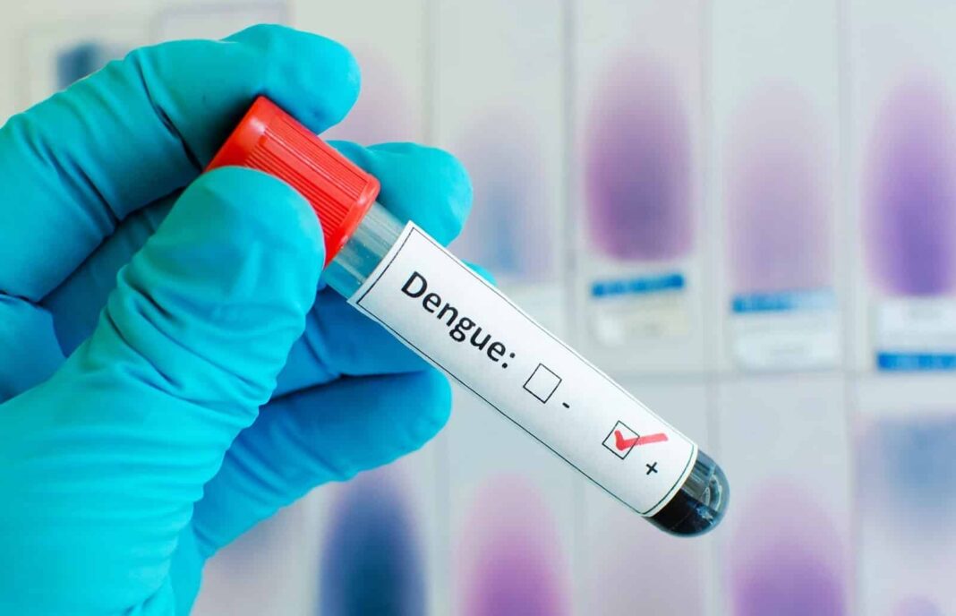Dengue en Venezuela