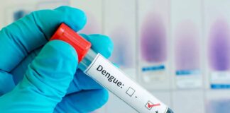 Dengue en Venezuela