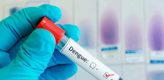 Dengue en Venezuela