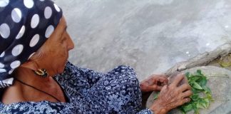 medina tradicional la guajira