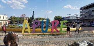Juramentan estructuras para promover la vida y la paz en Apure