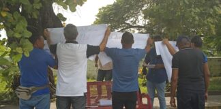 Manifestación el enjambre en San Fernando