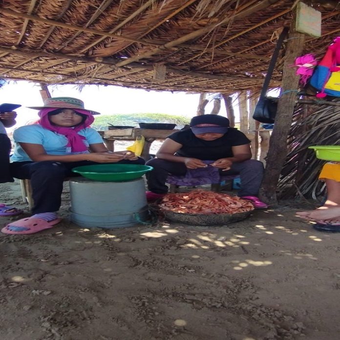 Mujeres emprendedoras de Guajira