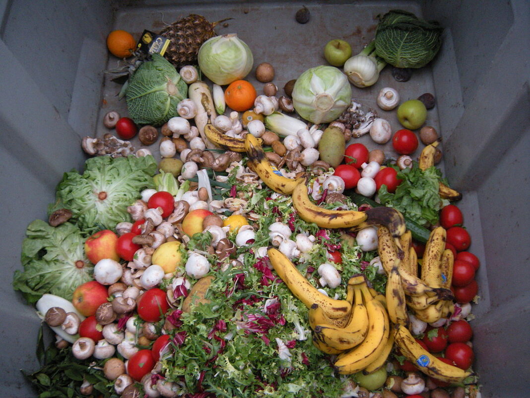Alimentos