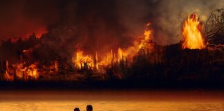 crisis climática está agravando la frecuencia e intensidad de los incendios forestales