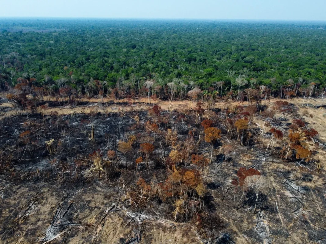 COP16