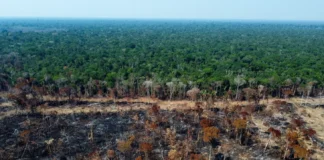 COP16