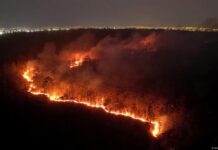 Incendios forestales en Bolivia