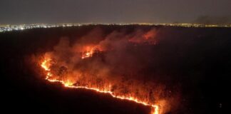 Incendios forestales en Bolivia
