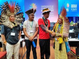Cop 16 consenso global