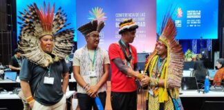 Cop 16 consenso global