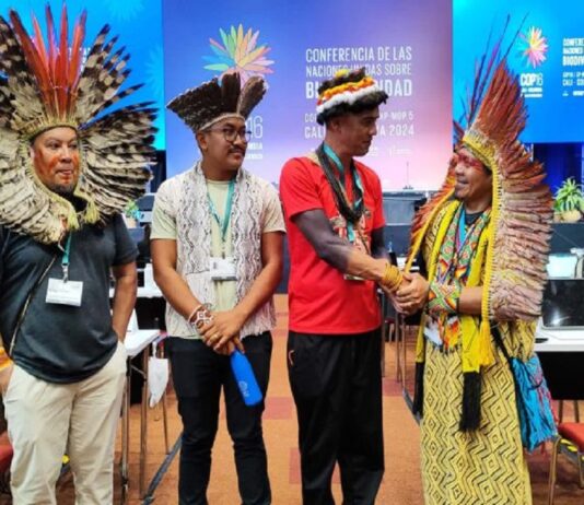 Cop 16 consenso global
