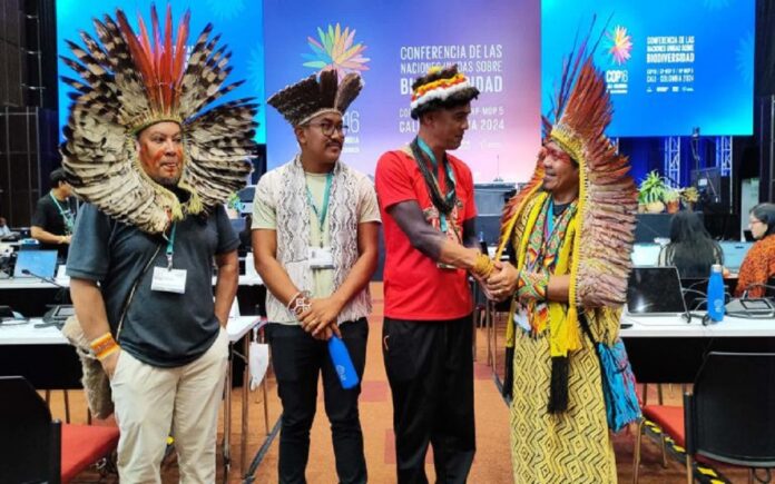 Cop 16 consenso global