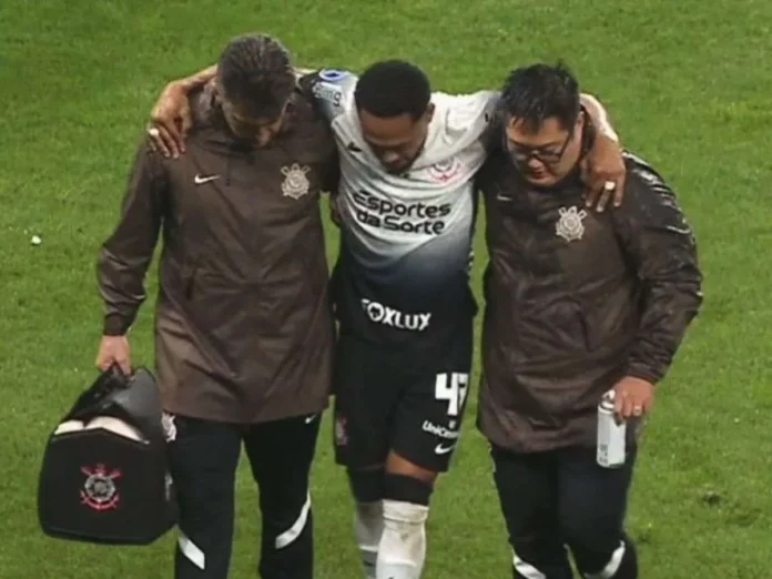 La Vinotinto