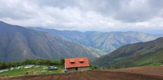Productores agrícolas de El Jarillo