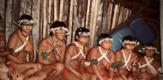 Yanomami