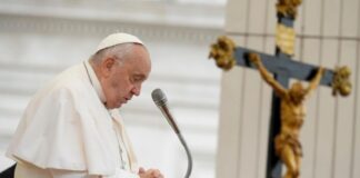 Francisco paz, reconciliación en Haití