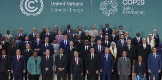 COP 29