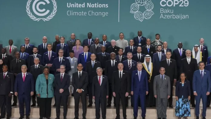 COP 29