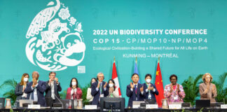 COP16