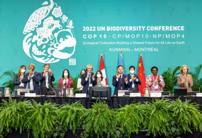 COP16