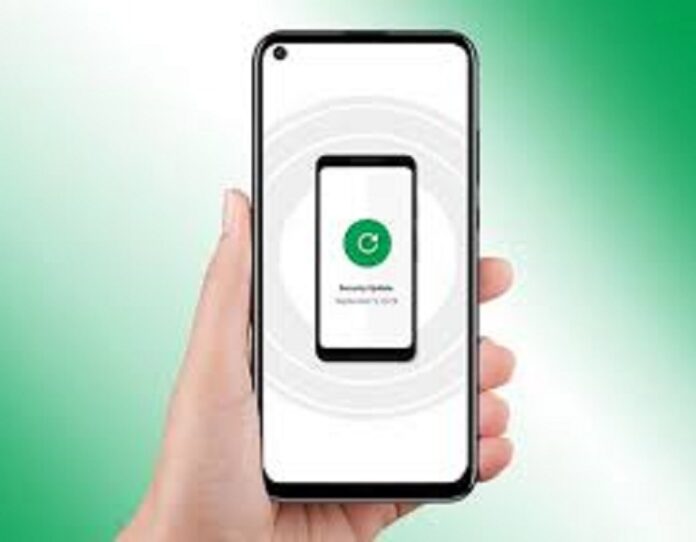 Capas de seguridad celular