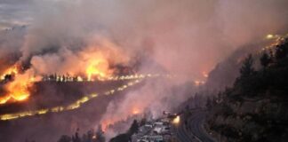 Incendios forestales en Ecuador alcanzó 22 de las 24 provincias.