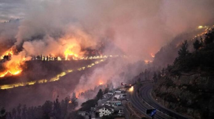 Incendios forestales en Ecuador alcanzó 22 de las 24 provincias.
