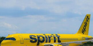 spirit