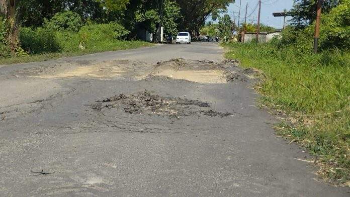 Via - Guasdualito