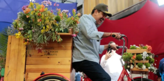 Nicolás Maduro, presidente de la república