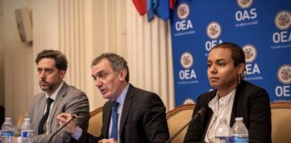 Panel de Expertos OEA