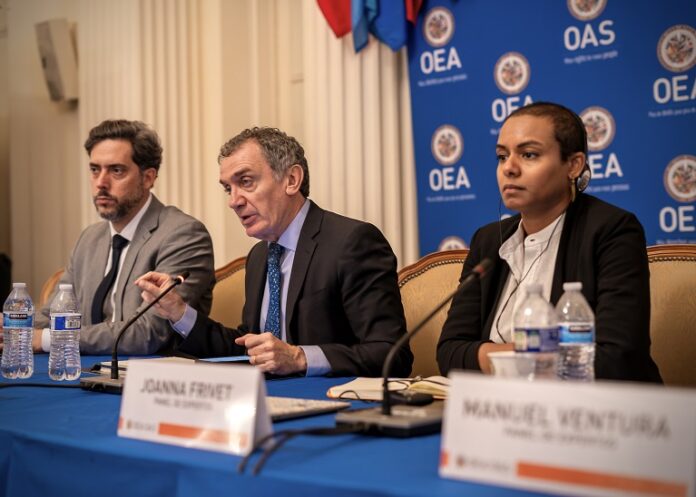 Panel de Expertos OEA