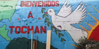 Casa Tochan