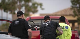 Redadas migratorias