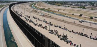 Migrantes