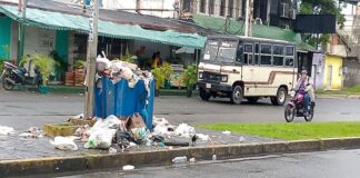 Servicio aseo urbano en San Fernando