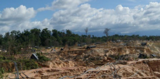 Arco Minero del Orinoco. Foto: SOS Orinoco