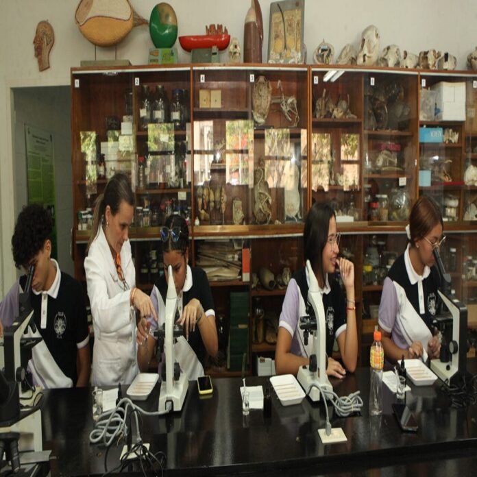 Niñas y ciencia