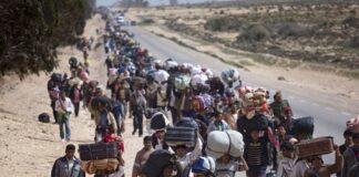 Política y migraciones