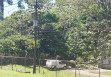 Los migrantes están en peligro